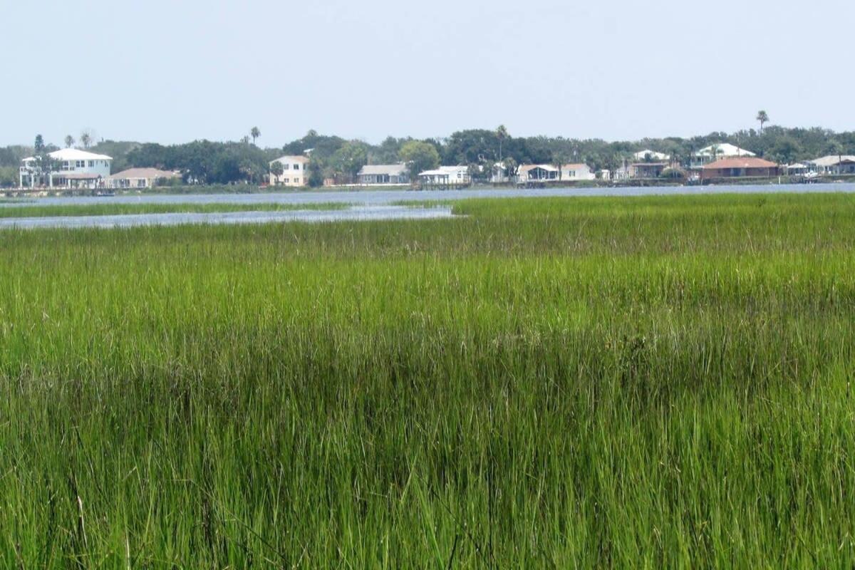 Canal Home Dock Walk To Beach Kayaks Sup Fishing St. Augustine Ngoại thất bức ảnh